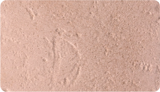 jerusalem beige