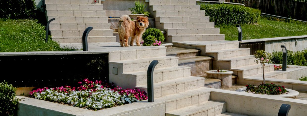 5955846fd02208b9bc7822006e10a29d16c1313d 1 scaled